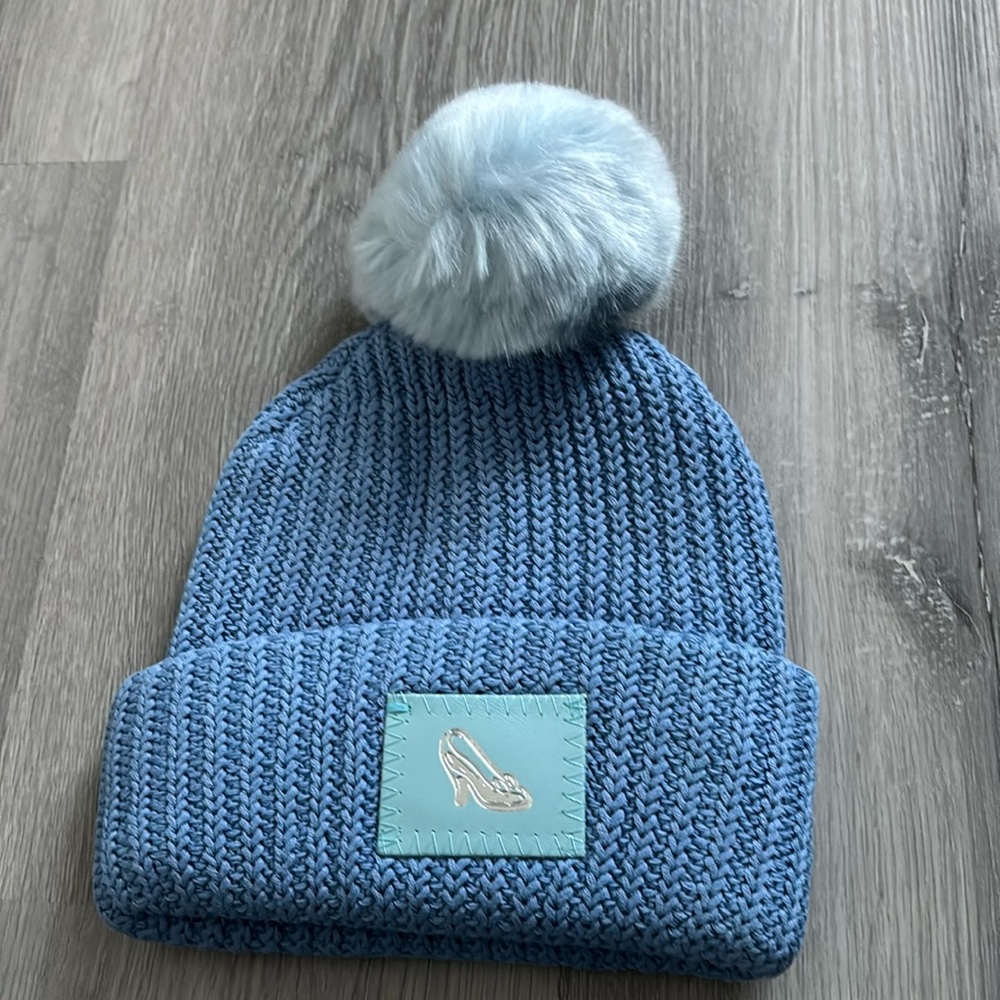 Brand new Love Your Melon Cinderella Pom Beanie